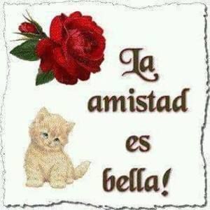 Meet your Posher, Rosalinda